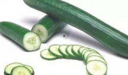 砍瓜叶子怎么吃,家常美味新选择