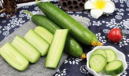 小青同学 吃瓜,瓜界新锐，揭秘娱乐圈那些事儿