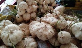 吃瓜奇葩东西图片大全