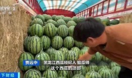 顾湘吃瓜,揭秘娱乐圈幕后故事