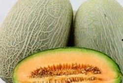 众人吃哈密瓜,众人品尝哈密瓜的欢乐时光