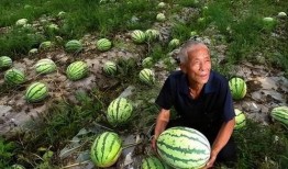 现代的吃瓜群众,吃瓜群众眼中的明星生活