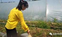 吃瓜路人小张,揭秘娱乐圈幕后故事