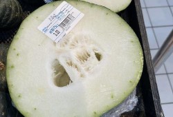 成都mc吃瓜资源,热门资源盘点