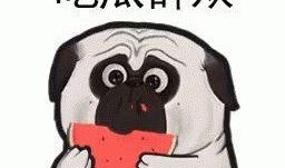 带你吃瓜奇葩消息文案,那些让人捧腹大笑的吃瓜奇闻轶事