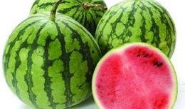 去瓜州吃瓜的注意事项,吃瓜攻略与注意事项全解析