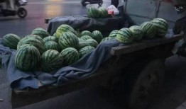 晚上看热闹吃瓜,一场全民“吃瓜”盛宴