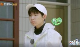 吃瓜小熊王源,揭秘娱乐圈的甜蜜瓜田