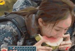 快穿男配种田吃瓜,种田吃瓜，解锁幸福人生