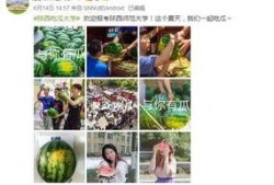 蹦迪吃瓜视频素材,揭秘夜店生活点滴