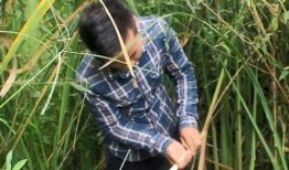 蒿瓜怎么吃,探索健康美味的蒿瓜烹饪技巧