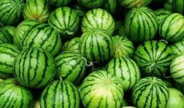 瓜群出现吃瓜方法,轻松掌握瓜界潮流