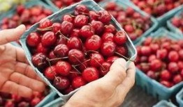 吃完樱桃吃瓜,美味接续的甜蜜之旅