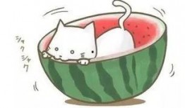 遇人吃瓜,揭秘娱乐圈背后的秘密与八卦