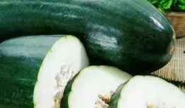 怀孕可以吃春瓜吗,春瓜，孕妇的夏季美味选择