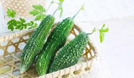 莱芜的瓜从哪里吃,从田间到舌尖的甜蜜之旅