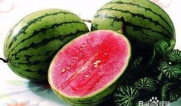 单结石患者可以吃莲瓜吗