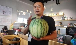 小6吃瓜直播,揭秘娱乐圈幕后故事