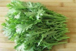 蒿瓜怎么吃,探索健康美味的蒿瓜烹饪技巧