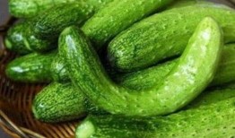 吃瓜程多多,揭秘娱乐圈背后的那些事儿