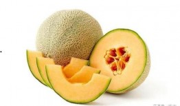 带你吃瓜的语音包,带你领略“吃瓜群众”的趣味生活