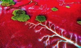 吃瓜 岱岱 红色往事,揭秘红色往事中的传奇故事