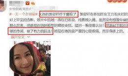 大v们吃瓜王力宏,大V吃瓜，娱乐圈再掀波澜