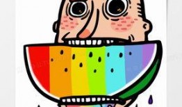 熊猫的吃瓜日记