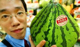 韩国男人吃瓜,瓜界新势力，揭秘他们的“吃瓜”文化