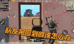 吃鸡找呆瓜,笑料百出，欢乐无限