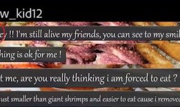 吃瓜一线ff,ff风云再起，揭秘娱乐圈幕后真相