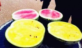 河南吃瓜爆料,揭秘当地美食背后的故事