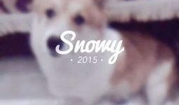 吃瓜少女小喵,揭秘娱乐圈幕后故事