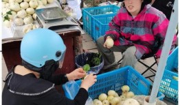 惠州温州吃瓜,两地美食文化大碰撞